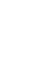 fire icon