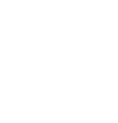 mold icon